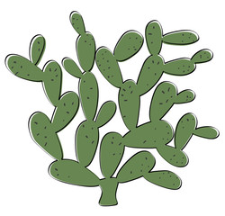cactus, illustration