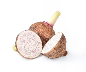 taro isolated on white background