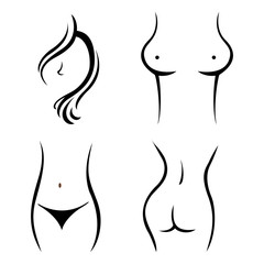 young woman body parts vector