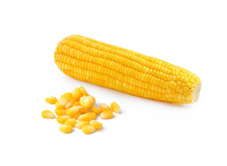 corn isolated on white background