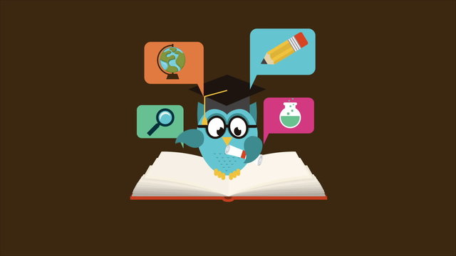 owl on book, education concept, Animation Design, HD 1080