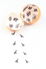 empty egg shells