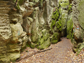 Autumn sandstone rock city in Czech Paradise National Park