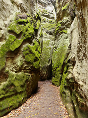 Autumn sandstone rock city in Czech Paradise National Park