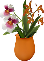 bunch of orange and pink orchids in vase