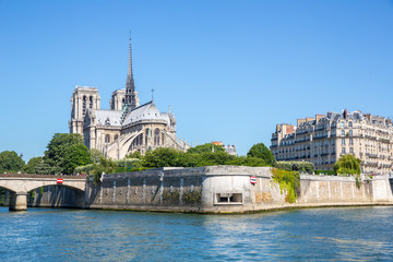 Notre Dame Cathedral Paris - obrazy, fototapety, plakaty