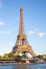 Wandcirkels tuinposter Eiffel Tower © vichie81