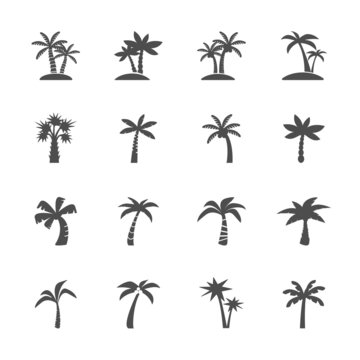 coconut tree icon set, vector eps10