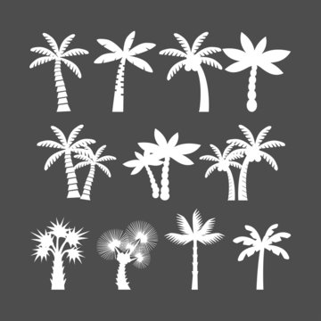 palm tree icon set, vector eps10