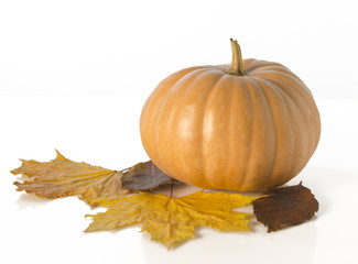 autumn  leaf with pumpkin