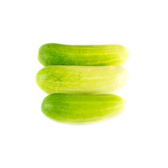 Cucumber