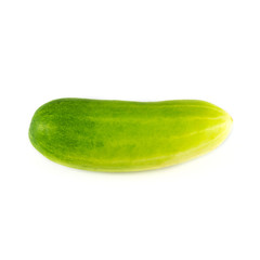 Cucumber