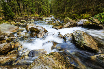 Roztoka Valley,Tatra Mountains, Poland