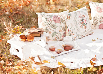 cozy autumn picnic in the park with tea and pillow