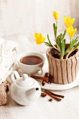 Fototapeta na wymiar Cup of hot drink, knitting clothes, cinnamon and flowers. winter