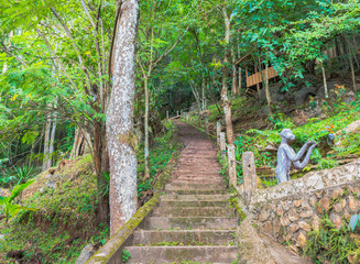 image of long stairs way to forest destination.