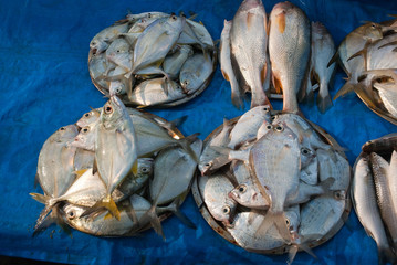 Marché aux poissons