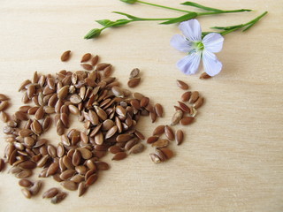 Leinsamen und blaue Leinblüte