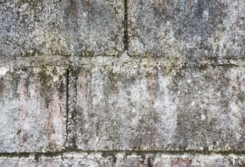 old wall texyure