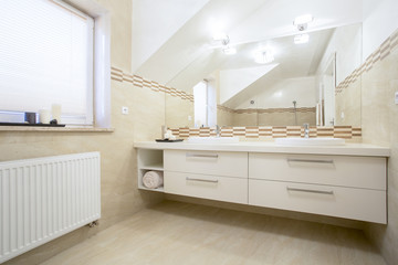 Porcelain sinks in a bright bathroom, horizontal