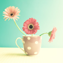 Gerbera flowers in a polka dots cup