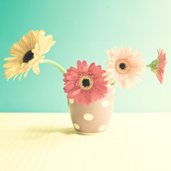 Gerbera flowers in a polka dots cup over turquoise background