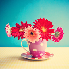 Gerbera flowers in a polka dots cup over turquoise background