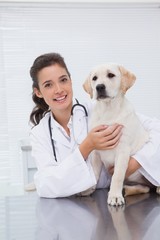 Fototapeta na wymiar Smiling veterinarian examining a cute dog
