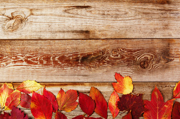 Autumn background with colored leaves on wooden boards
