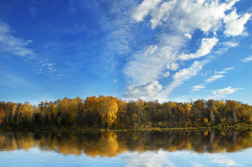 forest reflected in lake