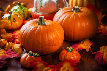 Pumpkins for Thanksgiving