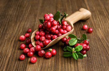 ripe cranberries in a wooden scoop