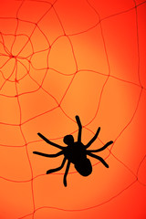 Spider on web. Halloween decoration concept