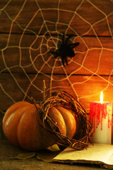 Fototapeta na wymiar Halloween decoration with spider