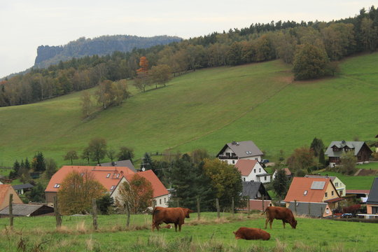 Blick &uuml;ber Pfaffendorf zum Lilienstein