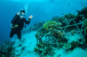 Naklejka na ściany i meble Diver and biorocks in Gili Lombok Nusa Tenggara Barat underwater