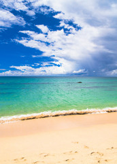 Sunshine Surf Vacation Wallpaper