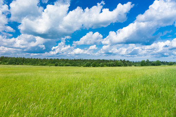 Nobody Outside Growth Season