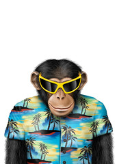 Smartmonkey-tourist-sonnenbrille
