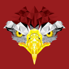 Eyes of Eagle with geometric pattern vector