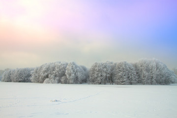 Snowy winter forest fairy