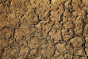 cracking dried land © vasakna