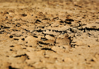 cracking dried land