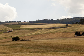 Obraz premium I colori della campagna