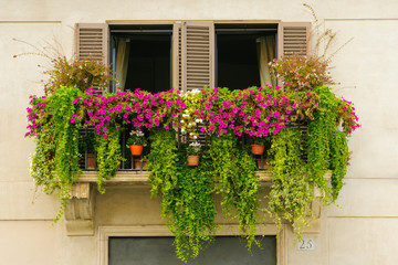 Fototapeta na wymiar green flowery balcony