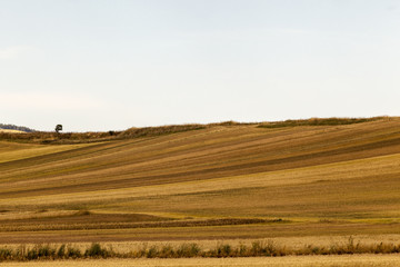 I colori della campagna