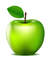 green apple vector for you design