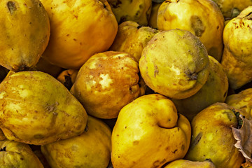 Quinces in bulk