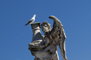 Angelo e gabbiano