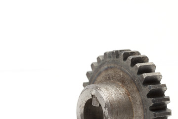 gear on the white background